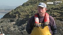 Mae Sion Williams yn pysgota o Borth Colmon ar Benrhyn Llŷn.