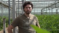 'The flowers don't know it's a lockdown'