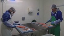 Uist Foods