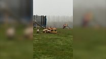 Sheep ride on deserted playground roundabout