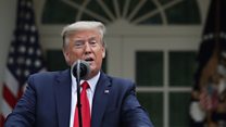 Trump: US will halt funding to WHO