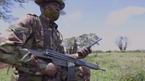 How Covid-19 threatens Africa’s wildlife