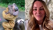 Bear surprise for health worker's children