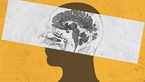 How our brain is processing the pandemic