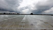 Waste sewage heat will help greenhouse crops grow
