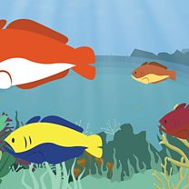 BBC Bitesize - What is an ocean habitat?