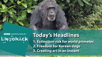 Lingohack: 3 May 2017: Extinction risk for world primates: Image with headlines
