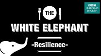 white_elephant_resilience_13_YT.jpg