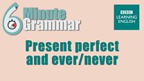 6mingram_li_11_present_perfect_ever_never.jpg
