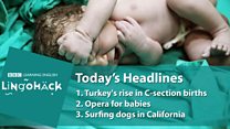 Lingohack: 9 August 2017: Image with headlines