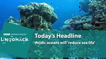 Lingohack: 6 December: Oceans: Image with headline