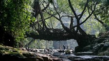 Human Planet: Rivers / Meghalaya, India 