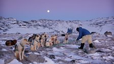 Human Planet: Arctic / Ilulissat, western Greenland 