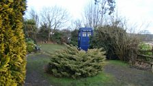 The TARDIS