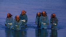 The Sea Devils