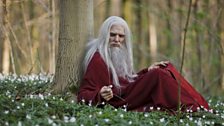 Emrys / Old Merlin