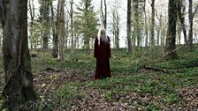 Emrys / Old Merlin