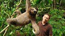 Chris Packham with a three-toed sloth