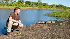 Chris and a caiman