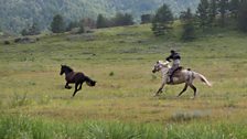 16yr old Vladik Topoyev catching a wild stallion in the Kyug valley, southern Khakassia