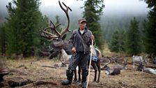 The Tozhu people of eastern Tuva keep small herds of around 50 woodland reindeer.