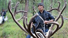 Danil Kyrganai: "Riding reindeer is the best way to hunt"