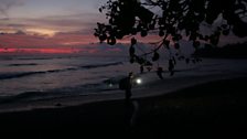 Costa Rican beach