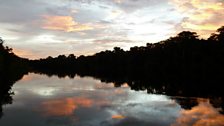 Amazonian sunset