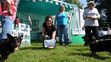 Companion dog show in North Elmham