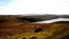 Llyn Teifi