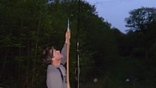 Volunteer unfurling the mist nets