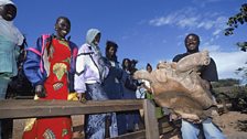 Village des Tortues, Senegal