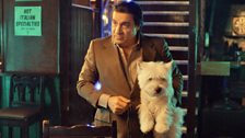 Frank Tagliano, played by Steven Van Zandt, with his dog Lily.