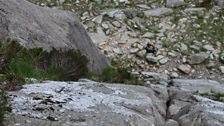 Cwm Idwal