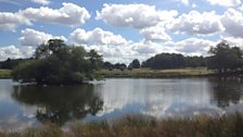Pen Ponds, Richmond Park