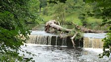 The weir at Boston Spa