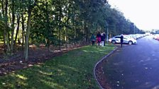 Panoramic image of the walkway site