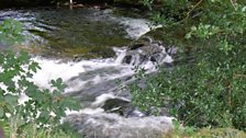 The river Grwyne Fawr