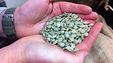 coffee beans