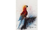 Jamaican Red Macaw by Ralph Steadman