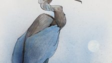 Pallas's Cormorant by Ralph Steadman