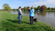 Bird watching on The Thames