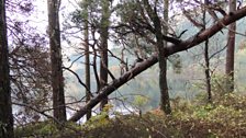 Aig bruaichean Loch Eich