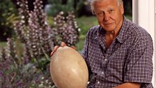 David Attenborough and the giant egg,  2002