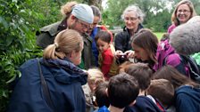 Oxford Bioblitz 2012