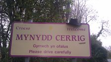 Tina Willingham o Mynydd Cerrig