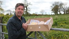 John Torode