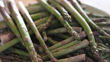 Asparagus