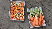 Heritage Carrots