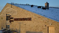 Sheep grazing the roof at Cross Lanes Organic Farm